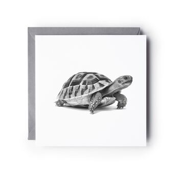 Hand Drawn Tortoise Illustration Greeting Card, 2 of 6