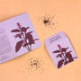 Illustrated Greetings Card With Purple Basil Seeds, thumbnail 1 of 5