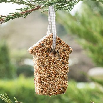 Modern Hanging Metal Bird Seed Feeder, 5 of 6