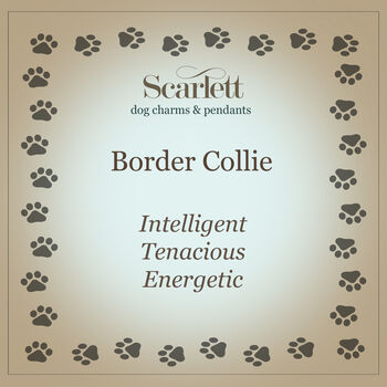 Border Collie Dog Silver Charm, 9 of 10