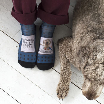 Personalised Photo Socks From The Dog, 3 of 3