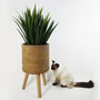 Rattan Effect Composite Planter With Stand, thumbnail 2 of 12