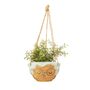 Grandma Ceramic Hanging Planter With Choices Of Plants, thumbnail 4 of 6