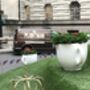 Tea Cup Planter, thumbnail 3 of 3