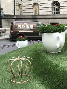 Tea Cup Planter, 3 of 3