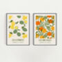 Set Of Two Oranges And Lemons French Art Prints, thumbnail 3 of 5