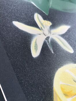 'Citrus Limon' Original Signed Spraypaint, 9 of 12