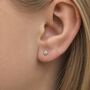 3mm Sterling Silver Knot Stud Earrings, thumbnail 2 of 6
