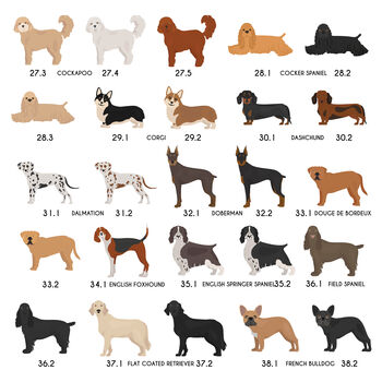 Personalised Birthday Dog Breed Card Sent Direct, 7 of 12