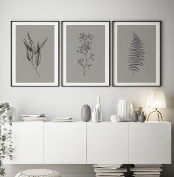 Floral Set Of Three Line Art Botanical Prints, 5 of 12
