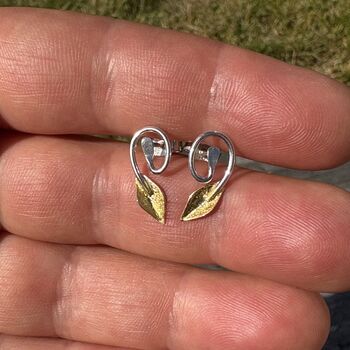 Botanics Spiral Studs, 2 of 6