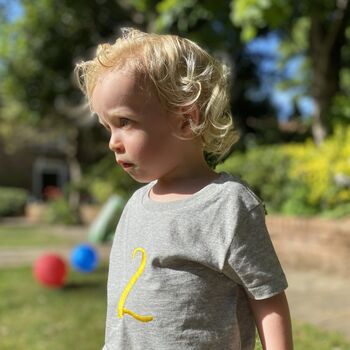 Birthday Age Embroidered Toddler Baby T Shirt, 2 of 6