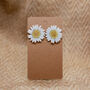 Daisy Pressed Flower Sterling Silver Studs Earrings, thumbnail 4 of 5