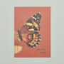 Handmade Greeting Card Painted Butterfly, Recycled Card, thumbnail 1 of 6