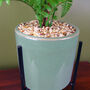 40cm Artificial Fern Plant With Planter, thumbnail 2 of 5