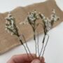 White Dried Flower Hair Pins, thumbnail 7 of 7