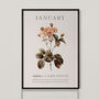 Birth Flower Wall Print 'Carnation' For January, thumbnail 1 of 9