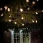 20 Bulb Outdoor Classic Festoon Lights, thumbnail 1 of 4