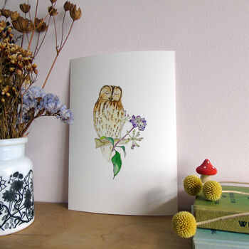 Tawny Owl And Ivy Berries Giclee Fine Art Print, 6 of 9