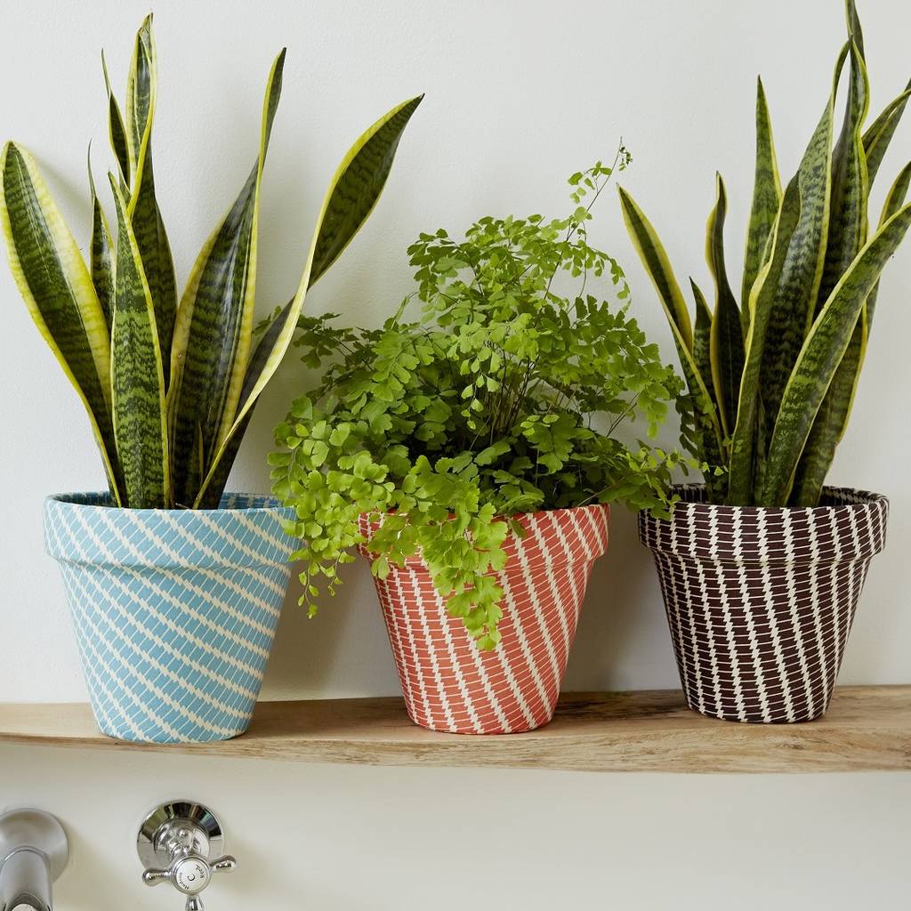 Patterned Fabric Covered Indoor Planter By Deja Ooh
