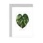 Houseplants 'Love You' Botanical Card, thumbnail 2 of 2