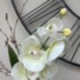 Cream Artificial Silk Orchid Luxury Flower Arrangement Mothers Day Gift, thumbnail 3 of 6