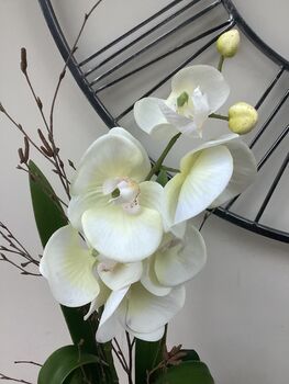 Cream Artificial Silk Orchid Luxury Flower Arrangement Mothers Day Gift, 3 of 6