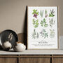 Culinary Herbs Vintage Chart Print With Frame, thumbnail 1 of 3