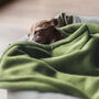 Luxury Double Fleece Pet Blanket, thumbnail 2 of 12