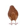 Lifelike Winter Wren Bird Ornament – Indoor Outdoor, thumbnail 6 of 9