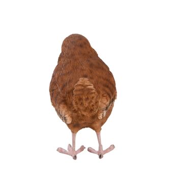 Lifelike Winter Wren Bird Ornament – Indoor Outdoor, 6 of 9