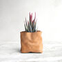 Personalised Mini Leather Paper Bag Planter With Custom Message And Artificial Aloe Vera, thumbnail 1 of 7