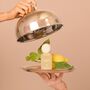 Citrus Bliss Home Fragrance, thumbnail 4 of 8