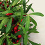 60cm Large Luxury Christmas Mistletoe Red Berry Wreath, thumbnail 5 of 7