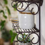 Vintage Iron Wall Shelf With Hooks, thumbnail 4 of 5