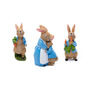 Beatrix Potter Pot Feet Decoration Set One Peter Rabbit, thumbnail 6 of 10