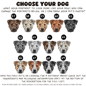 Custom Staffy Terrier Dog Chest Portrait Stickers, 2 of 8