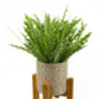 Ceramic Planter With Stand And Artificial Fern Plants, thumbnail 1 of 8