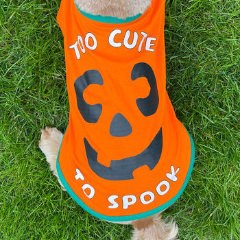 Halloween Pumpkin Dog Graphic T Shirt, 3 of 5