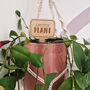 Personalised Wooden Indoor Plant Marker With Qr Code, thumbnail 9 of 9