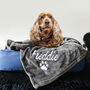Personalised Charcoal Pet Blanket, thumbnail 1 of 4