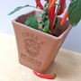 Engraved Mexican Skull Chilli Pot And Seeds, thumbnail 4 of 6