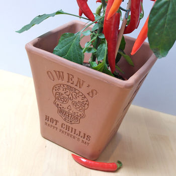 Engraved Mexican Skull Chilli Pot And Seeds, 4 of 6