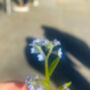 Mini Heart Ring With Real Forget Me Not Flower In Gold Or Silver Waterproof, thumbnail 10 of 10