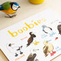 'Boobies' Playful Bird Place Mat, thumbnail 3 of 3