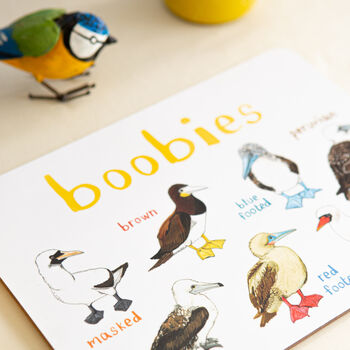 'Boobies' Playful Bird Place Mat, 3 of 3