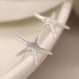 Large Sterling Silver Starfish Stud Earrings, thumbnail 3 of 10