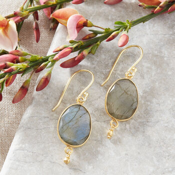 Labradorite Drop 18 K Gold And Silver Earrings, 3 of 5