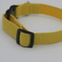 Yellow Dog Collar, thumbnail 7 of 10