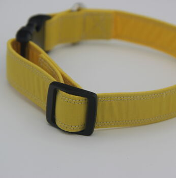 Yellow Dog Collar, 7 of 10